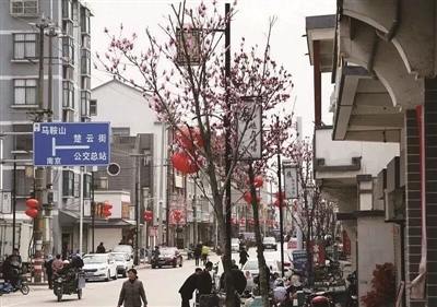 （头条）南京大迈步 从“行政区”走向“发展区”