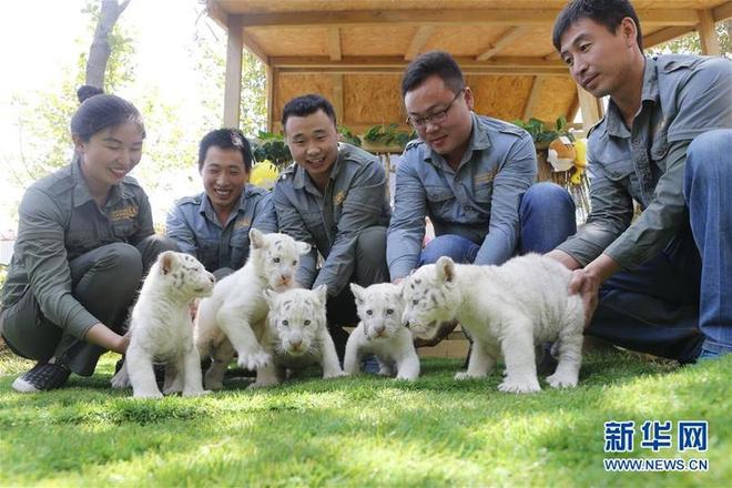 图片默认标题_fororder_b881984109471c6c49cf18