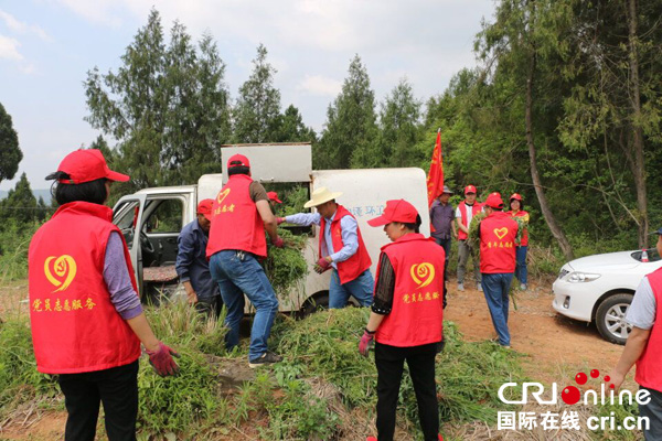 图片默认标题_fororder_帮助清运杂草