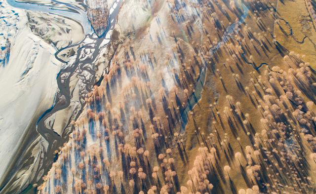 「央视网」【生态文明@湿地】与湿地相伴，绿水青山给了他们金山