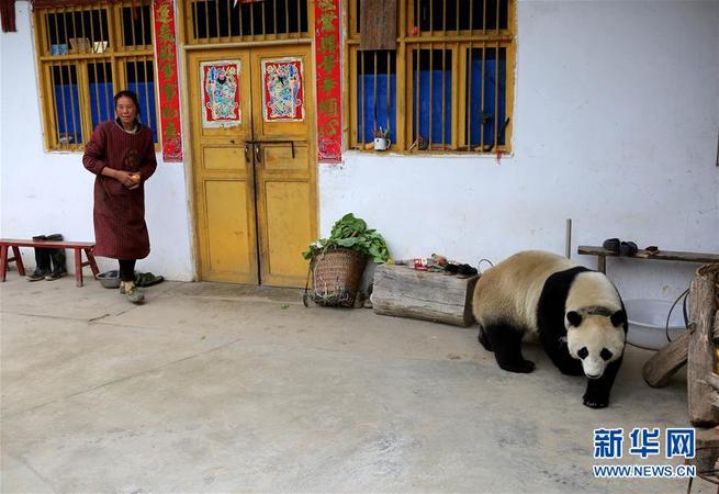 图片默认标题_fororder_VaZm-hcikcev9182391