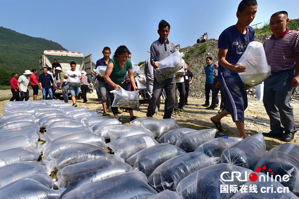 图片默认标题_fororder_运送的鱼苗抵达投放现场（市农业局-供图）