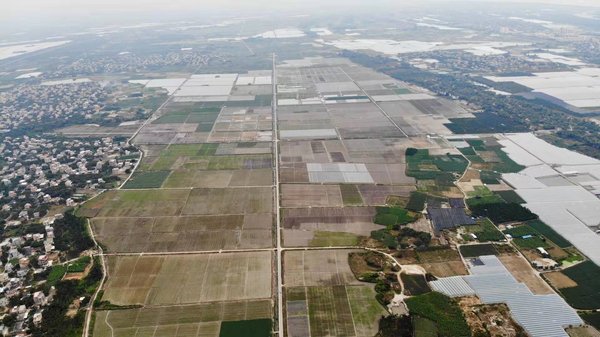 2019中国-乐东玉米论坛暨南繁产业博览会开幕 2019中国-乐东玉米论坛暨南繁产业博览会开幕