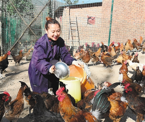 经济日报@“替父还钱，咱不能欠下良心债”