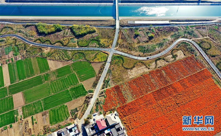 「新华网」南水浩荡润天下——写在南水北调东中线一期工程全面通