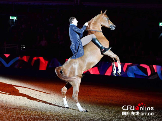 2016年伦敦奥林匹亚国际马展上演马术