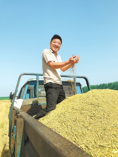 【要闻-文字列表+摘要】河南的农民朋友请注意 夏粮收购政策有调整