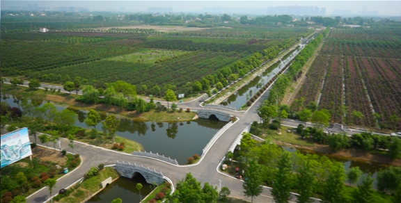 #新华网#合肥全面开展水生态文明建设 实现城兴水美