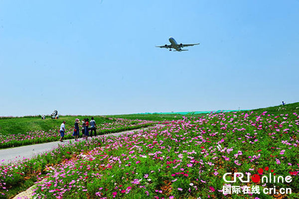 图片默认标题_fororder_1