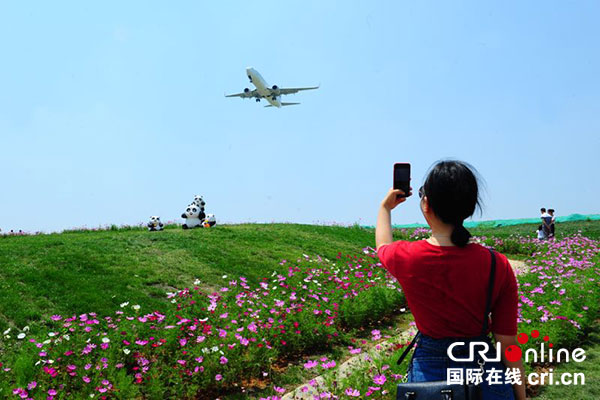 图片默认标题_fororder_2