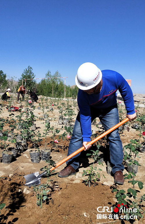 图片默认标题_fororder_f29571764b1