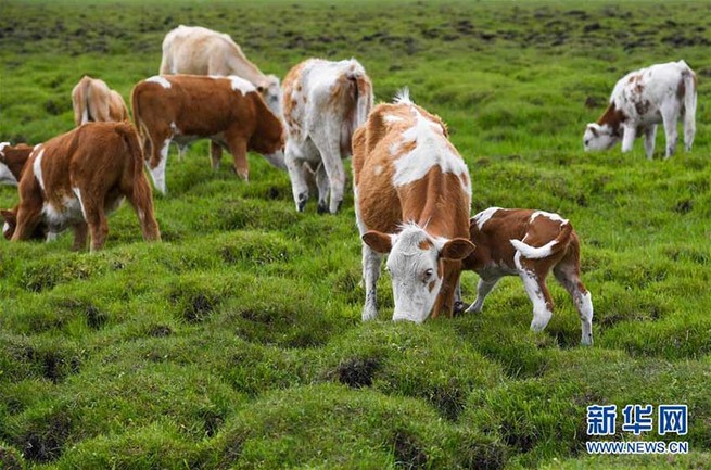 图片默认标题_fororder_yxzg3d