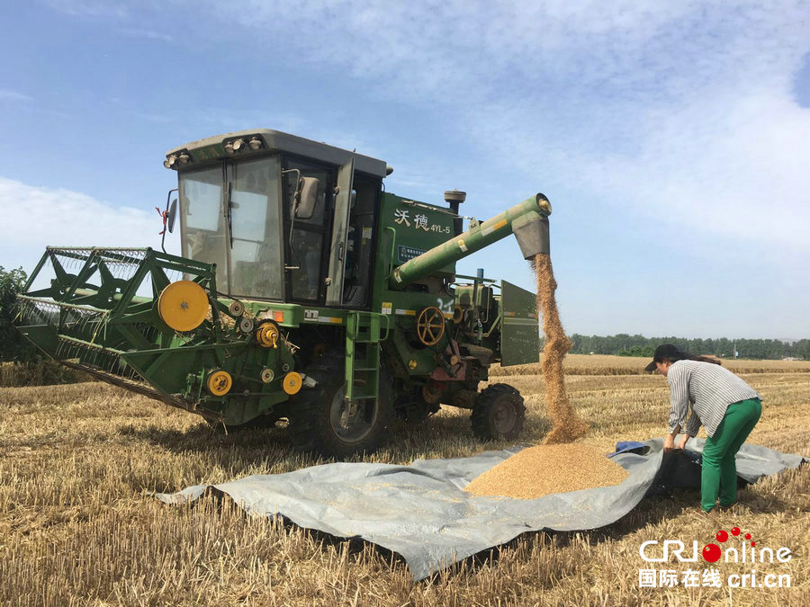 【河南供稿】河南省舞钢市三夏生产接近尾声 收获小麦20万亩