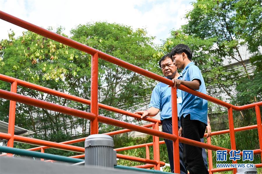 新华网@泰籍员工圆梦泰中罗勇工业园