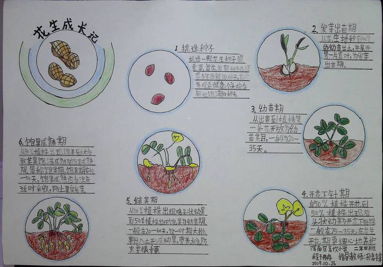 手绘梦想汇聚希望 沈阳市青少年自然笔记大赛二等奖作品揭晓