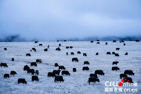 图片默认标题_fororder_mmexport1528393531650