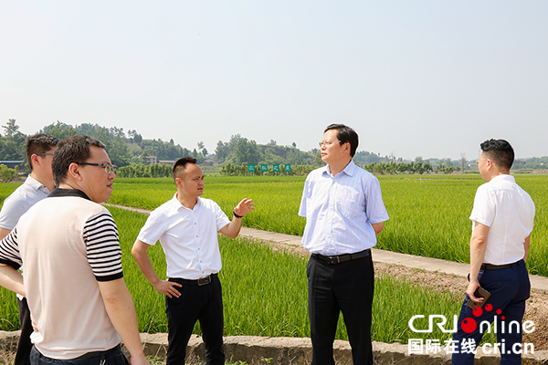 图片默认标题_fororder_赖平（右二）一行察看大安区现代农业示范园区并听取情况汇报