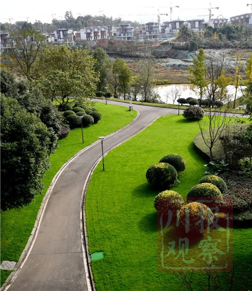 #四川在线#生态文明@湿地】初冬的仁寿黑龙滩国家湿地公园：色彩