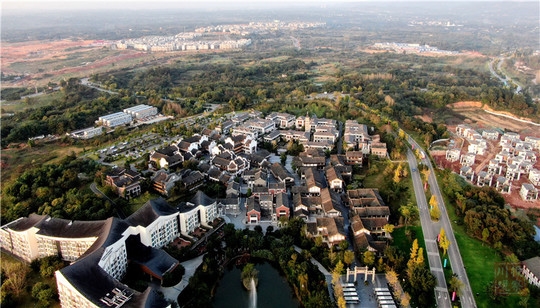 #四川在线#生态文明@湿地】初冬的仁寿黑龙滩国家湿地公园：色彩