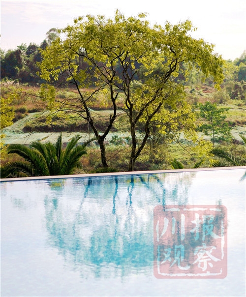 #四川在线#生态文明@湿地】初冬的仁寿黑龙滩国家湿地公园：色彩