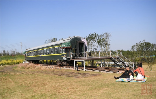 #四川在线#生态文明@湿地】初冬的仁寿黑龙滩国家湿地公园：色彩