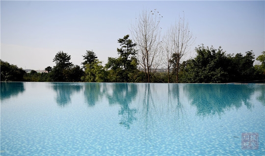 #四川在线#生态文明@湿地】初冬的仁寿黑龙滩国家湿地公园：色彩