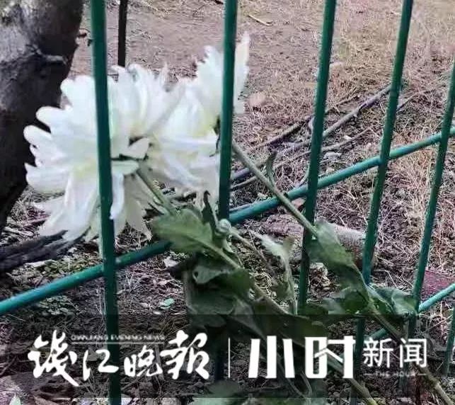 【中国青年报】被奖40万！90后救人遇难，上百人自发排队献花