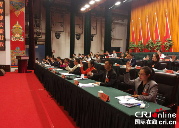 图片默认标题_fororder_2、会议现场各代表积极发言（共青团甘孜州委-供图）