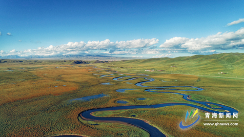 青海新闻网@【生态文明@湿地】泽库泽曲：画意湿地