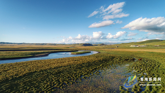 青海新闻网@【生态文明@湿地】泽库泽曲：画意湿地