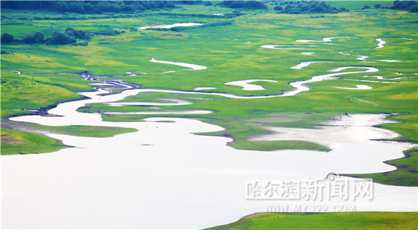 中国网信网：【生态文明@湿地】冰城湿地已增至19.95万公顷，湿地