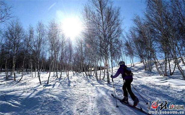 河北省首届冰雪运动会摄影微视频大赛优秀作品展播
