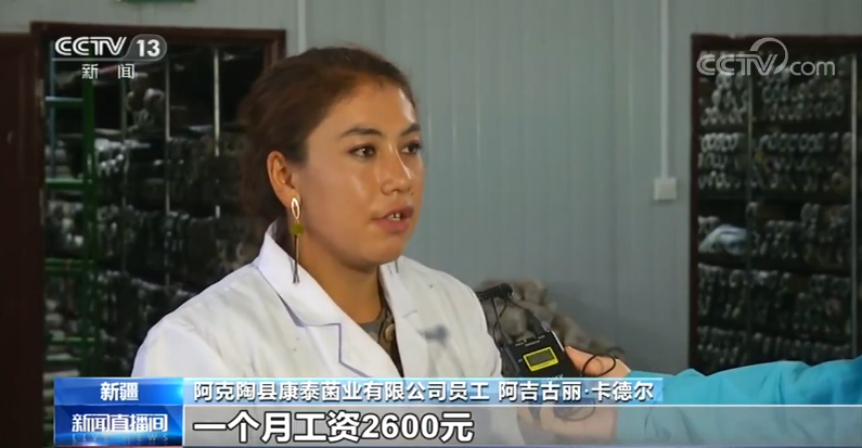 [央视网]新疆特色养殖助力脱贫 12个贫困县年底摘帽