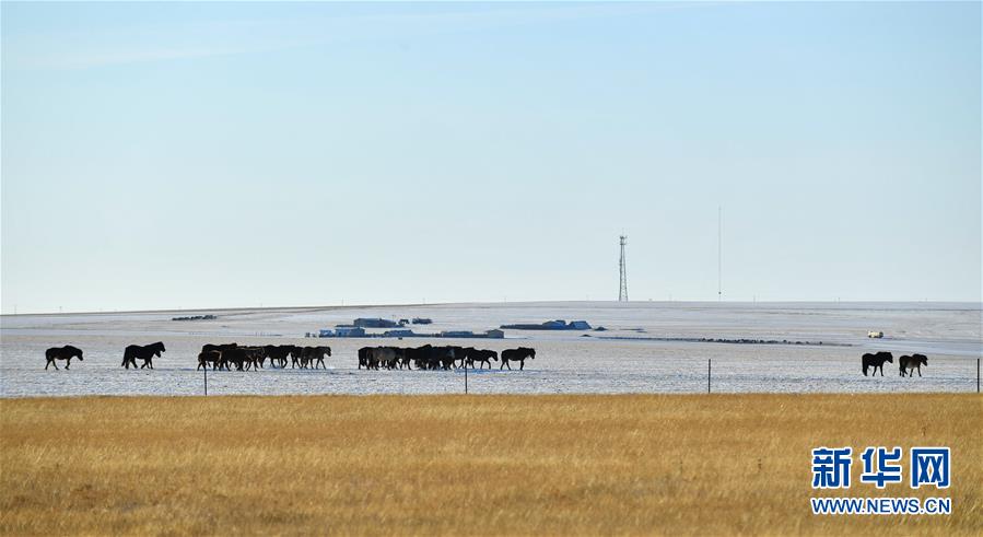 「新华网」呼伦贝尔大草原披银装