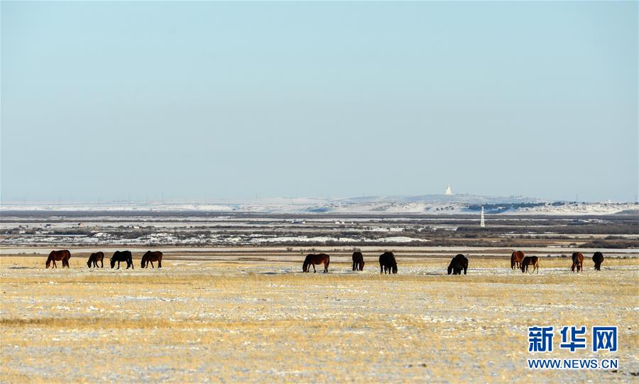 「新华网」呼伦贝尔大草原披银装