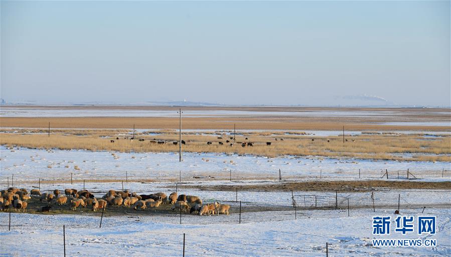 「新华网」呼伦贝尔大草原披银装