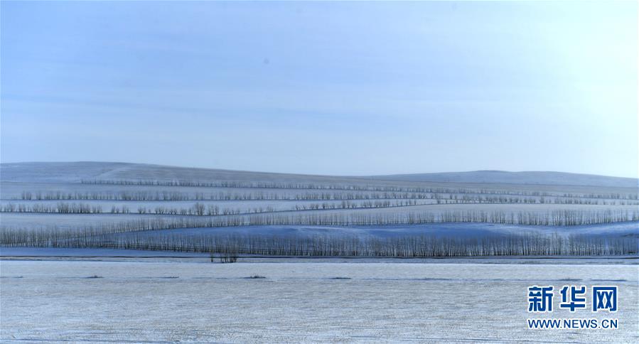 「新华网」呼伦贝尔大草原披银装