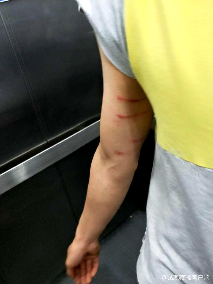 （导航资阳，移动端）四川乐至高三班主任被家长带人暴打 一打人者为住建局党委委员