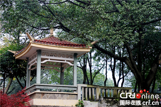 【CRI专稿 列表】枇杷山公园：珍藏着“老重庆”记忆的城市公园