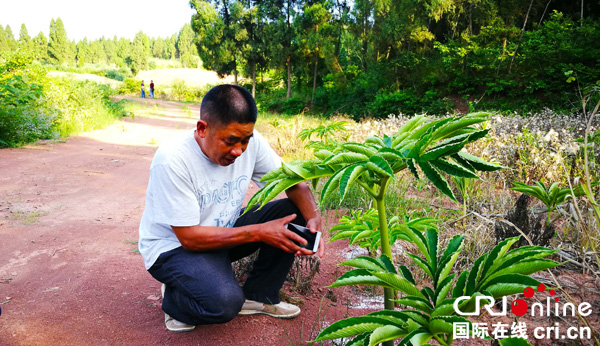 图片默认标题_fororder_IMG_20180606_175549