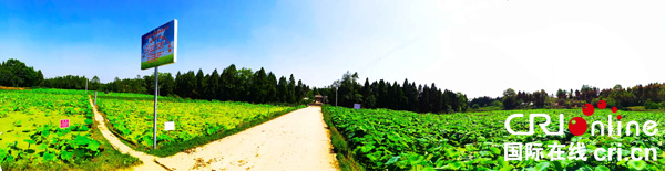 图片默认标题_fororder_IMG_20180606_152734