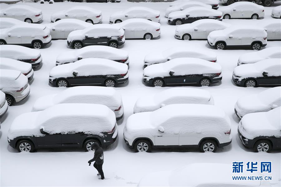 新华网@雪后的哈尔滨