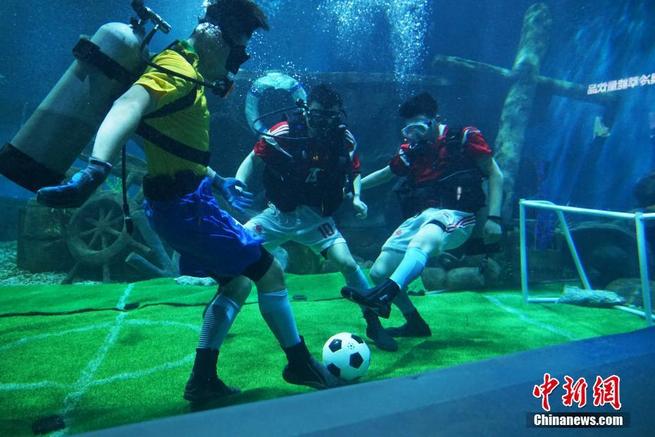 图片默认标题_fororder_1122968256_15286955670911n