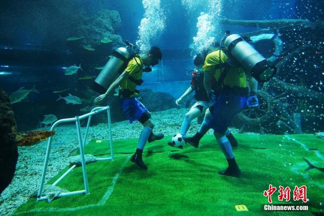 图片默认标题_fororder_1122968256_15286955671311n