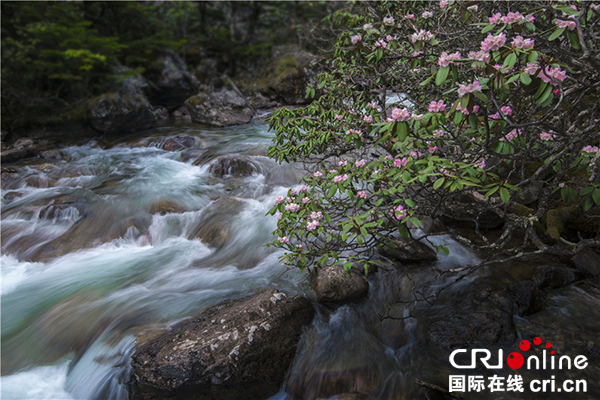 图片默认标题_fororder_木格措风光-摄影-皖庆