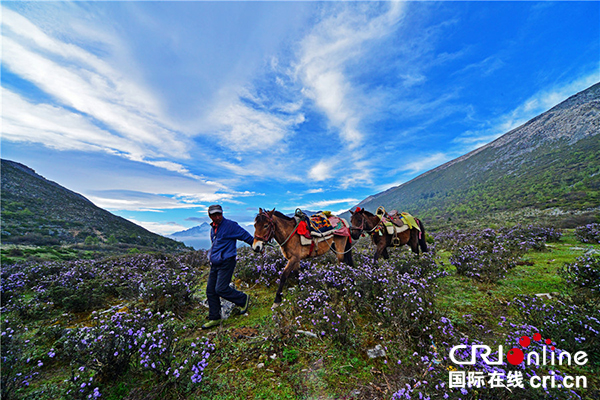 图片默认标题_fororder_木格措风光-摄影-李荣伟
