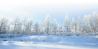 「人民日报」林海茫茫 有我守望（保护区里的年轻人⑧）