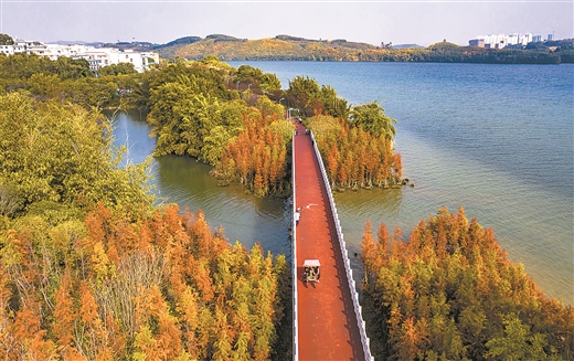 柳州市沿江休闲自行车道成市民和游客的“网红”打卡地
