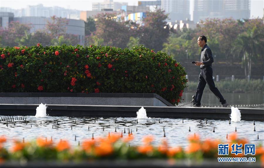 广西南宁：花开在冬季