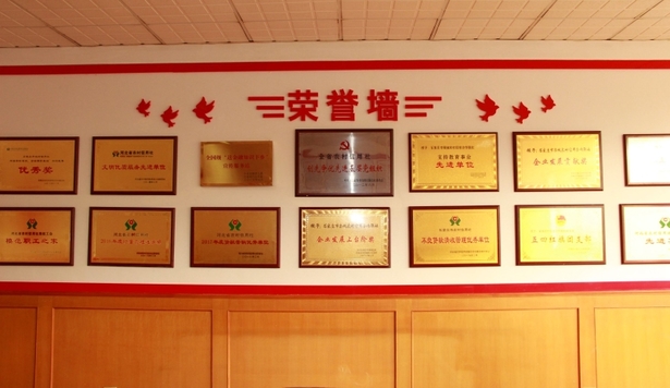 栾城联社:凝心聚力抓党建,团结奋进促发展